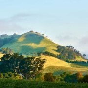 Trespass Spring 2021 Release Trespass Spring 2021 Release